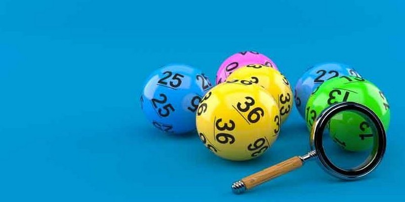 Tìm hiểu thông tin về nuôi lô khung là gì?