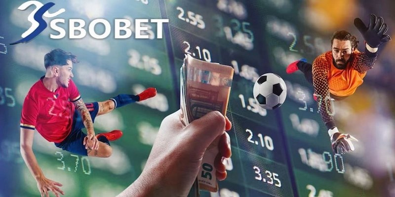 Các lợi ích nổi bật khi tham gia chơi tại Sbobet OK9