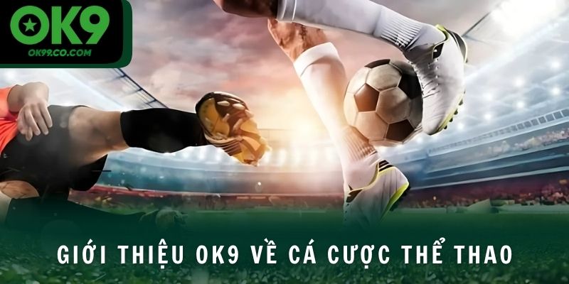 Giới thiệu OK9 về cá cược thể thao